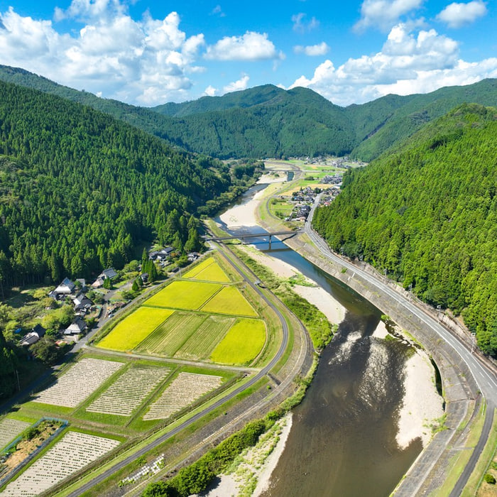 Aerial view of the Keihoku valley where the logs stand