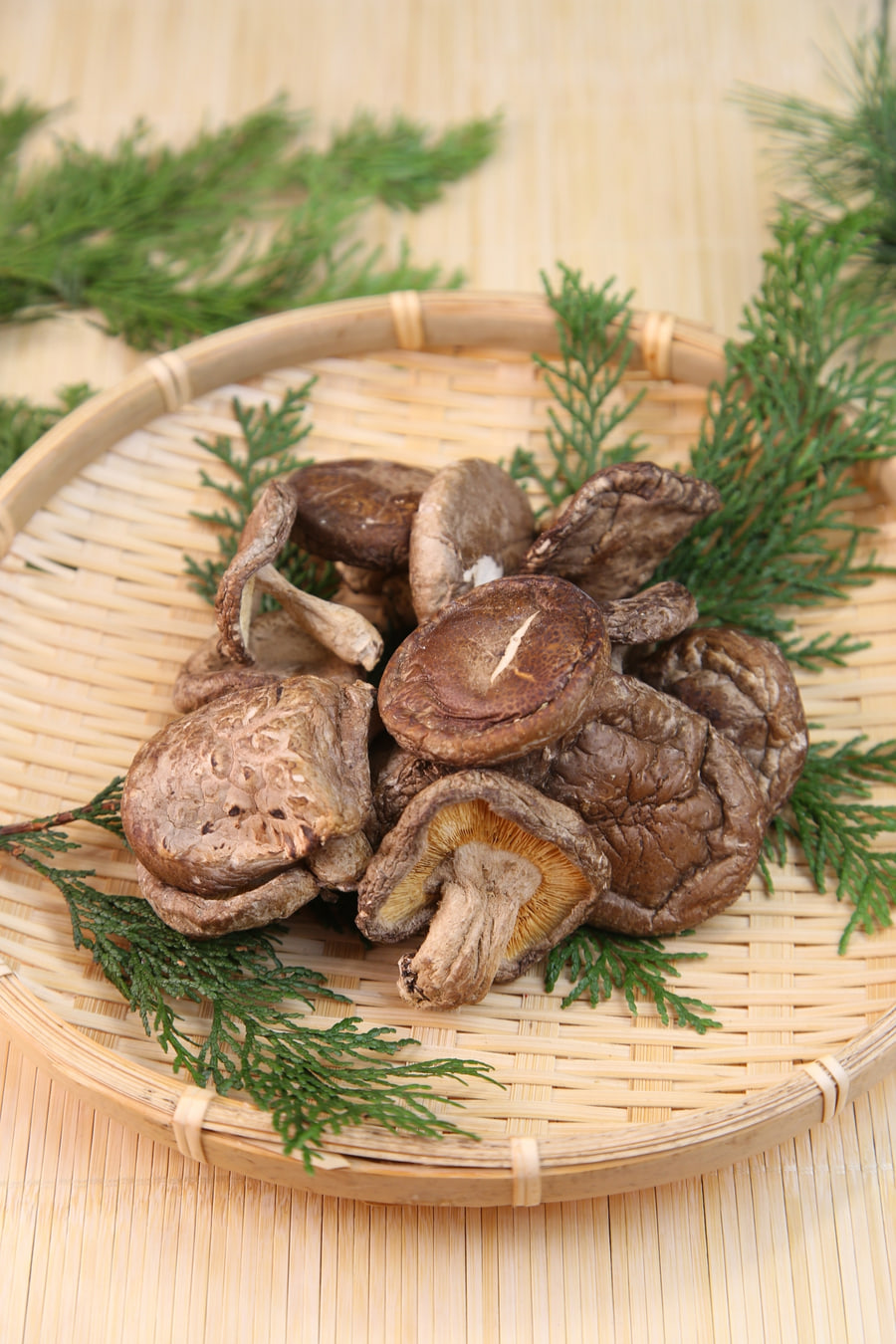 Dried Keihoku shiitake resting in a bamboo basket with cedar sprigs