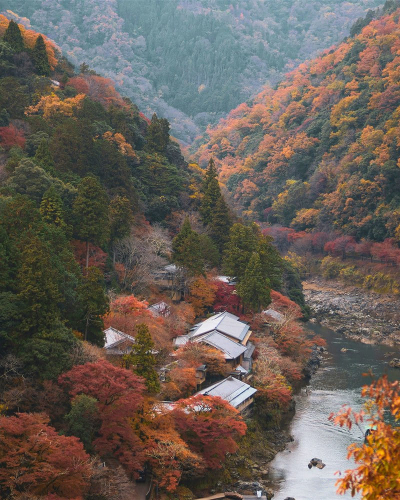 Autumn colour across the ravine above the river