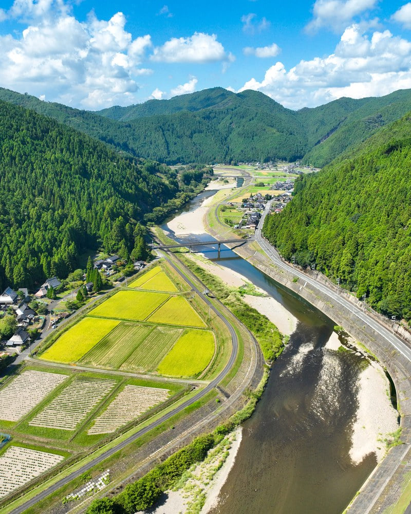The valley in high summer — green ridges and terraced rice