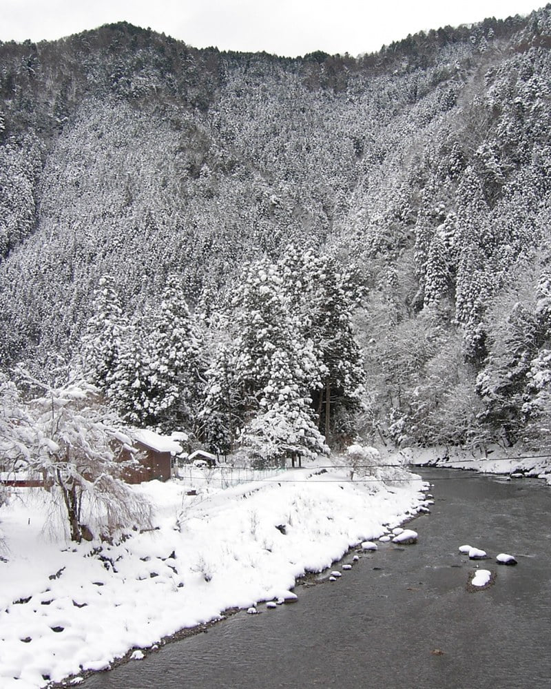 Snow over the cedar slopes and the river in winter